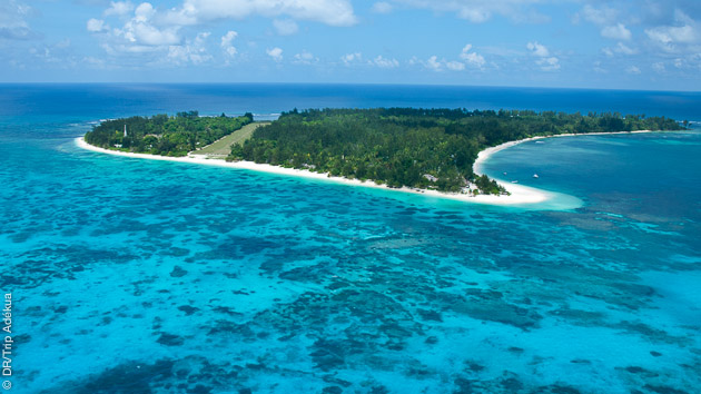 Les plus belles plages des Seychelles vous offrent des souvenirs inoubliables