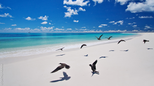 Explorez les plages de sable blanc des Seychelles pendant votre croisière