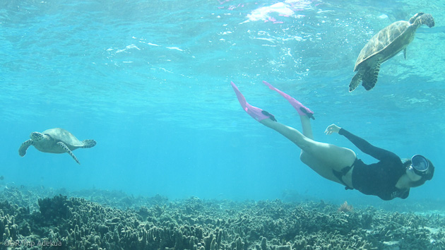 Snorkeling ou plongée sous marine pendant votre croisière à Madagascar