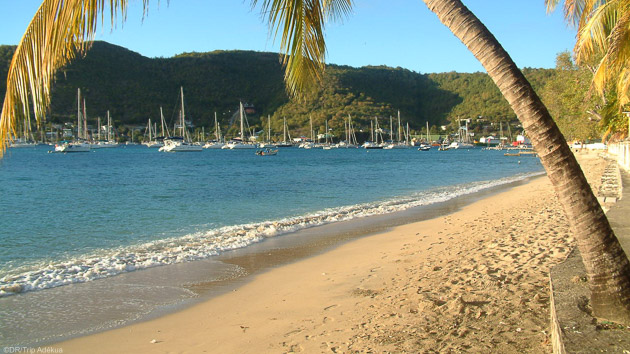 Profitez des plus belles plages paradisiaques des Caraïbes