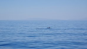 Avis croisière voilier dans les îles de Croatie